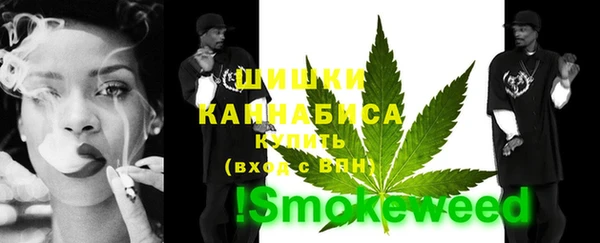 индика Нефтекумск
