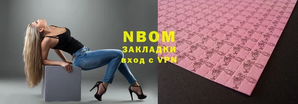 индика Нефтекумск