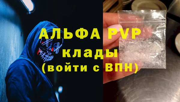 индика Нефтекумск