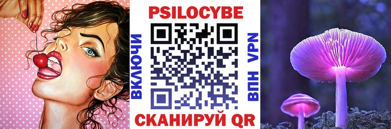 Псилоцибиновые грибы Cubensis  Купить закладки  Мегион 